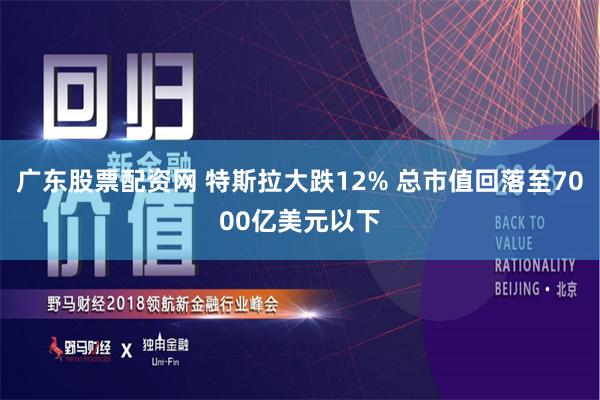 广东股票配资网 特斯拉大跌12% 总市值回落至7000亿美元以下