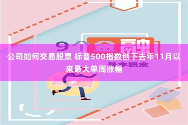 公司如何交易股票 标普500指数创下去年11月以来最大单周涨幅