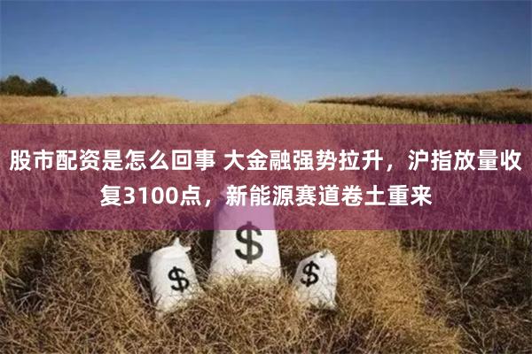 股市配资是怎么回事 大金融强势拉升，沪指放量收复3100点，新能源赛道卷土重来