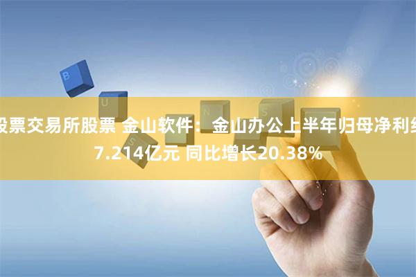 股票交易所股票 金山软件：金山办公上半年归母净利约7.214亿元 同比增长20.38%