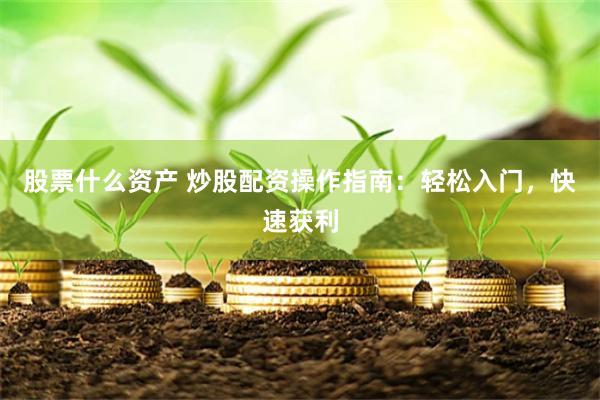 股票什么资产 炒股配资操作指南：轻松入门，快速获利